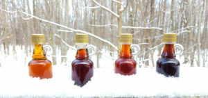 Small Maple Syrup bottles featuring different grades of syrup/